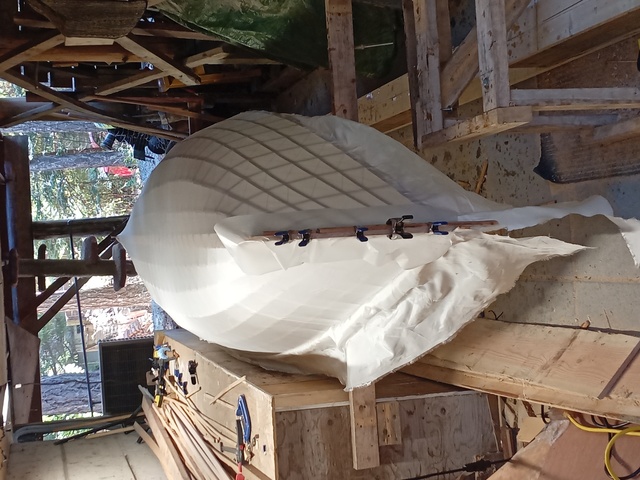 Picture of the skin on with clamps holding it as it is glued onto the stem-piece